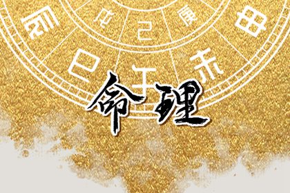 紫星命盘_天机文墨紫微斗数_紫微运势_专业命盘_八字命宫吉凶排盘